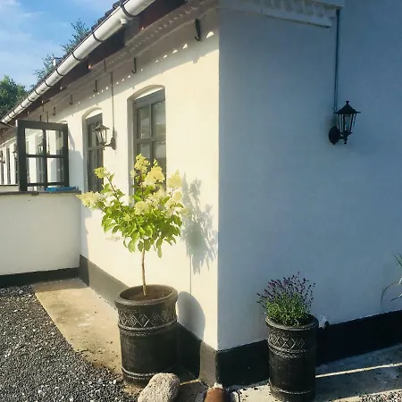 7 Bedrooms Horse Farm Near Skagen Gospodarstwo agroturystyczne