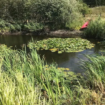 7 Bedrooms Horse Farm Near Skagen * Jerup