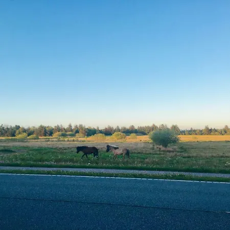 Gospodarstwo agroturystyczne 7 Bedrooms Horse Farm Near Skagen