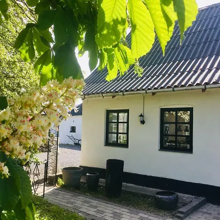 7 Bedrooms Horse Farm Near Skagen Gospodarstwo agroturystyczne Jerup