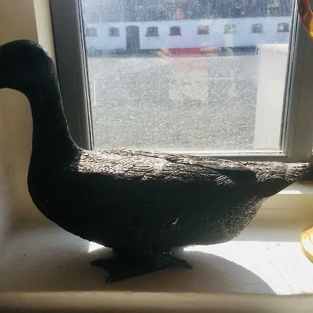 Gospodarstwo agroturystyczne 7 Bedrooms Horse Farm Near Skagen