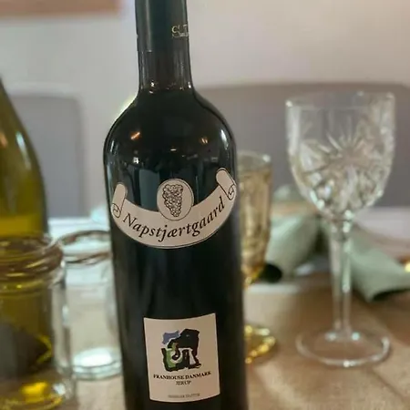 7 Bedrooms Horse Farm Near Skagen Gospodarstwo agroturystyczne Jerup